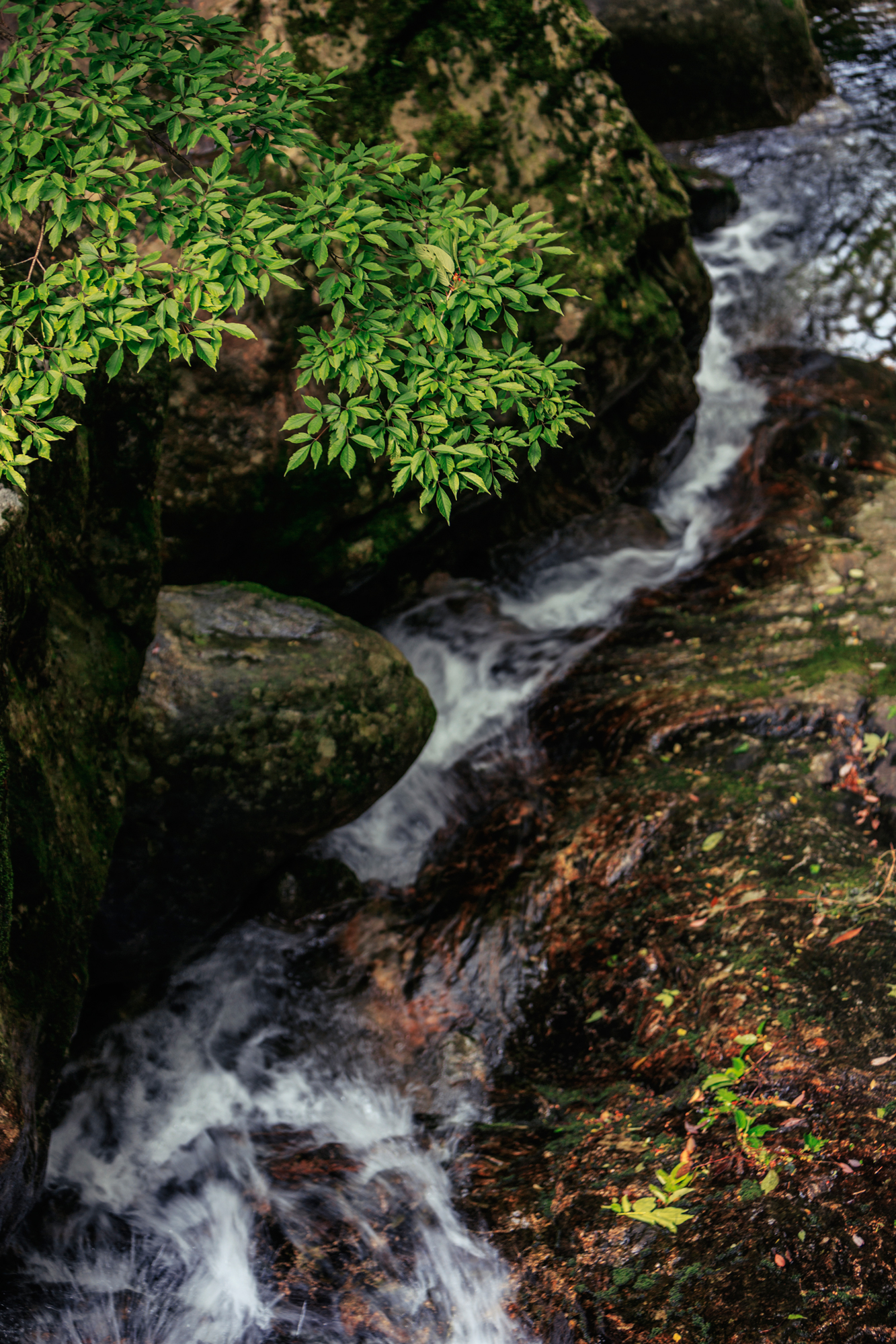 探秘大别山天堂寨的自然美景,天堂寨和大别山哪个更值得去