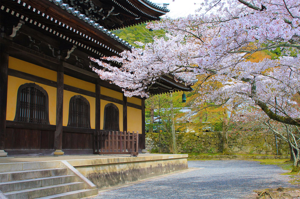 春日游必去的地方,五一旅游必去的8个小众旅游地