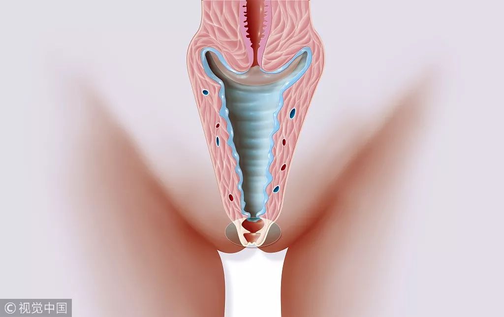 人体哪些地方最脏,人体5脏指哪几个部位