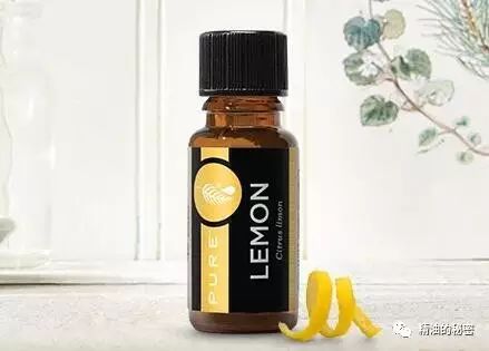 美乐家生姜精油的功效与作用,美乐家精油大全