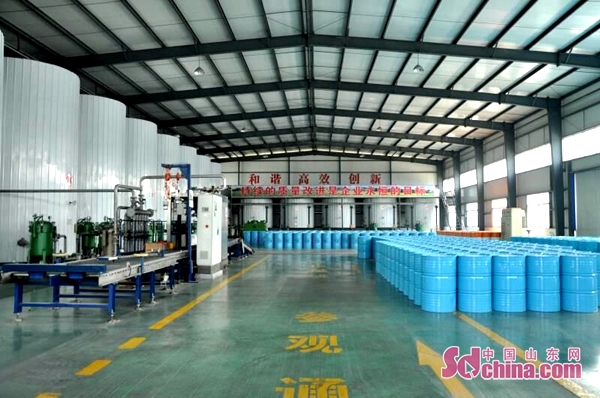 卡松科技股份有限公司,卡松科技软件研发