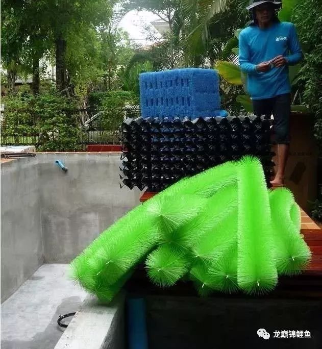 鱼缸PH值怎么调整,小苏打调节龙鱼鱼缸ph值用量多少