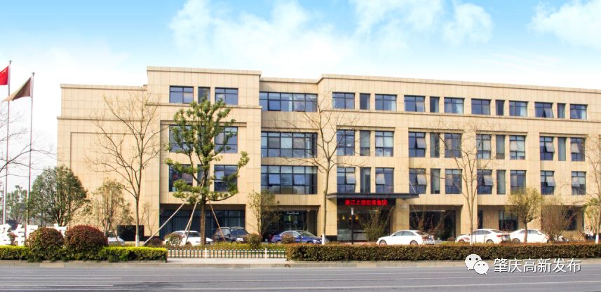 高新区班子,高新区区领导班子安排