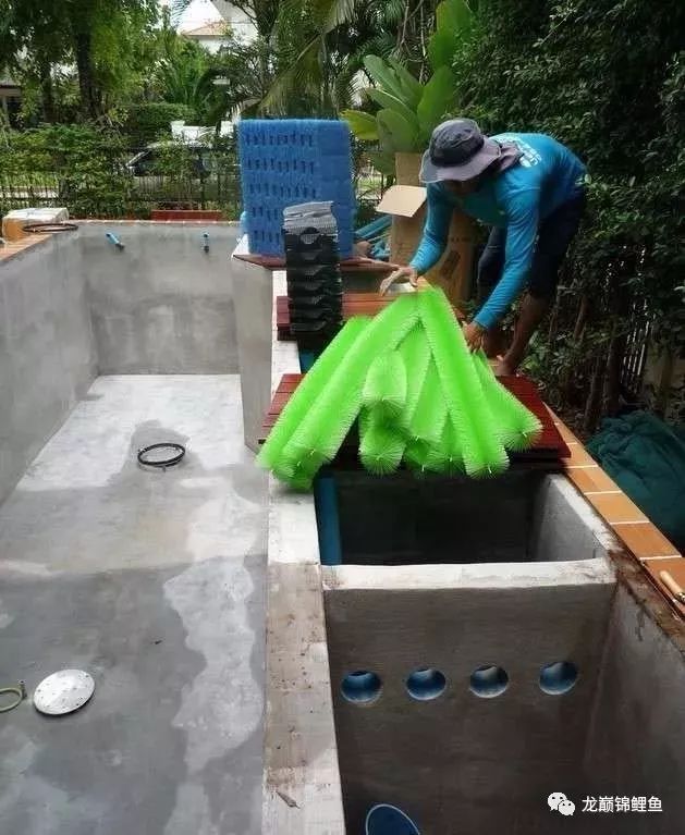 鱼缸水质ph值如何调节,鱼缸ph值什么意思