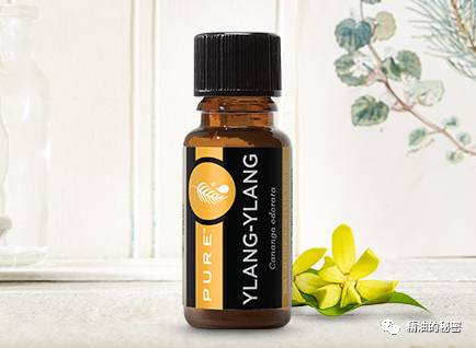 美乐家生姜精油的功效与作用,美乐家精油大全