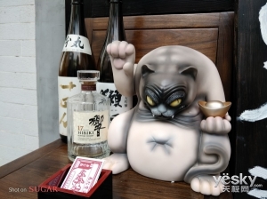 糖果s11配置怎么样,s101深度评测