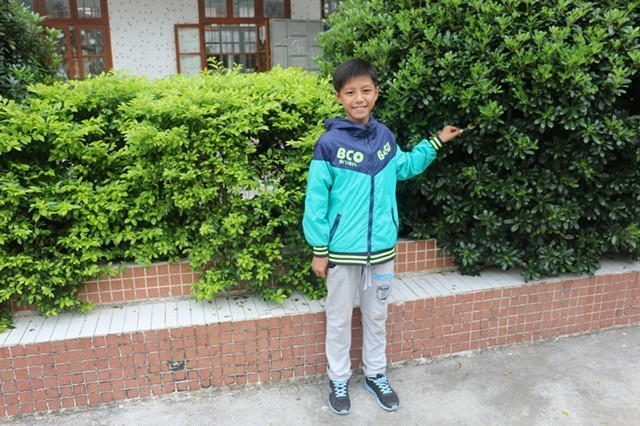 广东好人清远排名,清远市广东好人