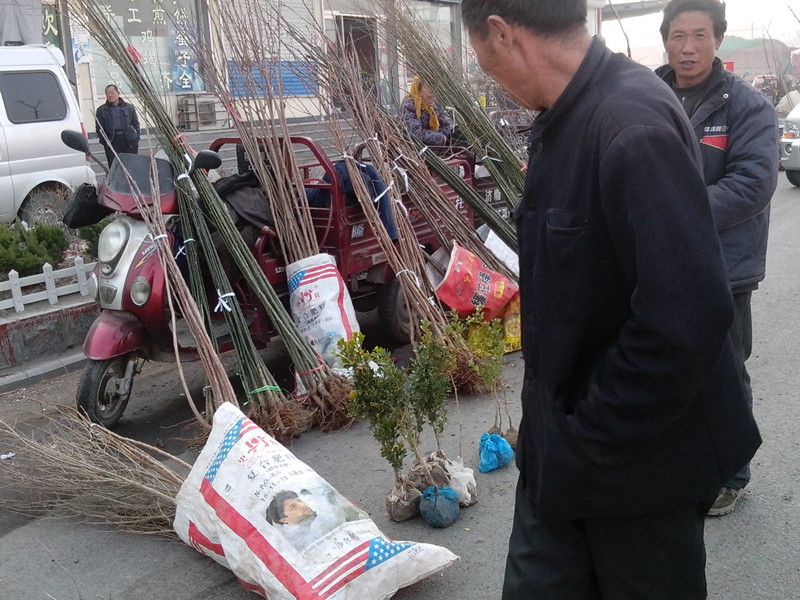 春天农村大集现在都卖什么生意好,今年农村适合做什么小买卖