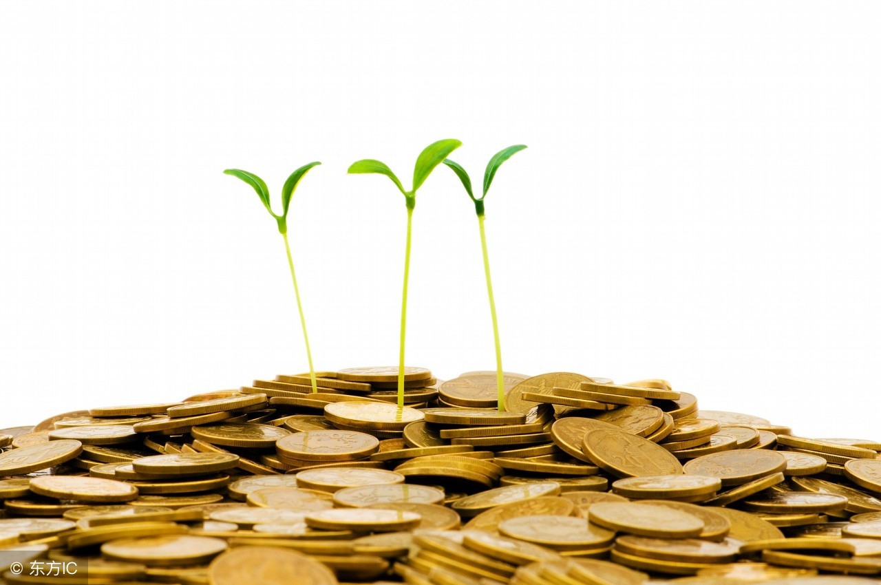 兔肉的养殖成本多少,农村养兔及加工兔肉创业