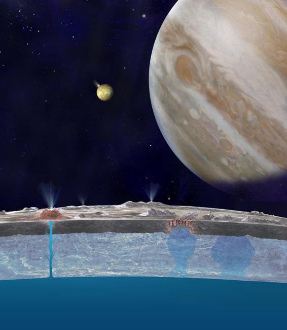 马斯克秒变戏精,Twitter勾搭特朗普,豪言2019年殖民火星