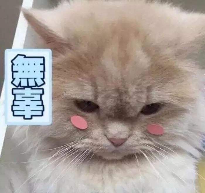 平价好物的化妆品,种草好物集中营