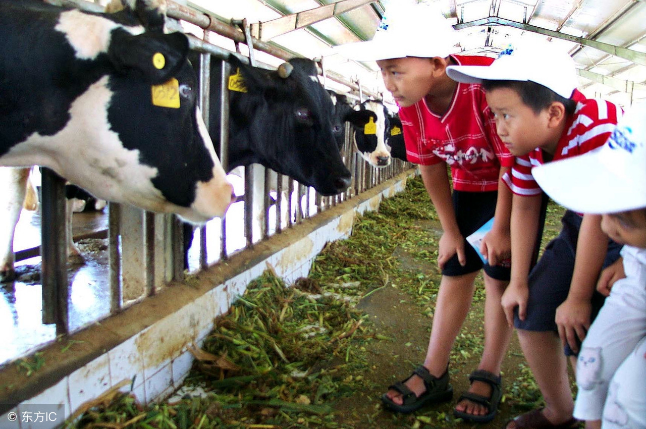 田园模式休闲农庄,休闲农业与休闲农庄的关系