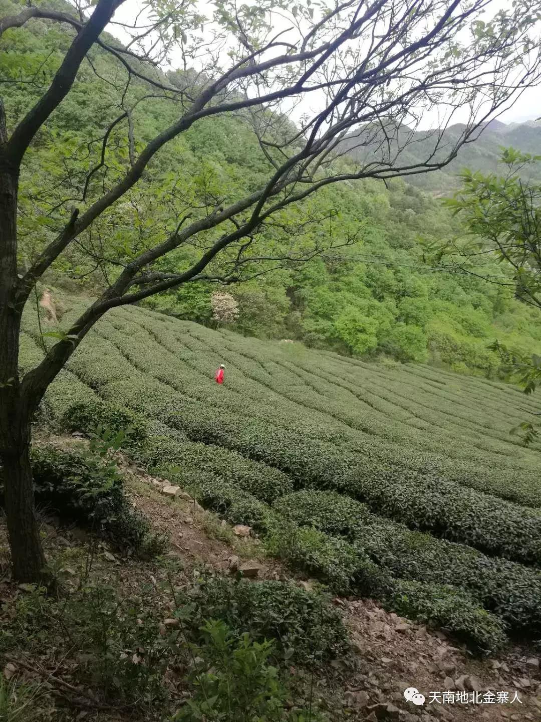 南溪山的传奇故事,宜宾南溪县的传说