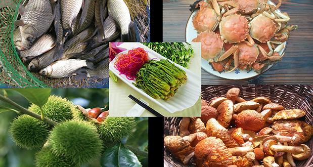 一沙一世界一水一天堂完整版,一水一沙一世界展板