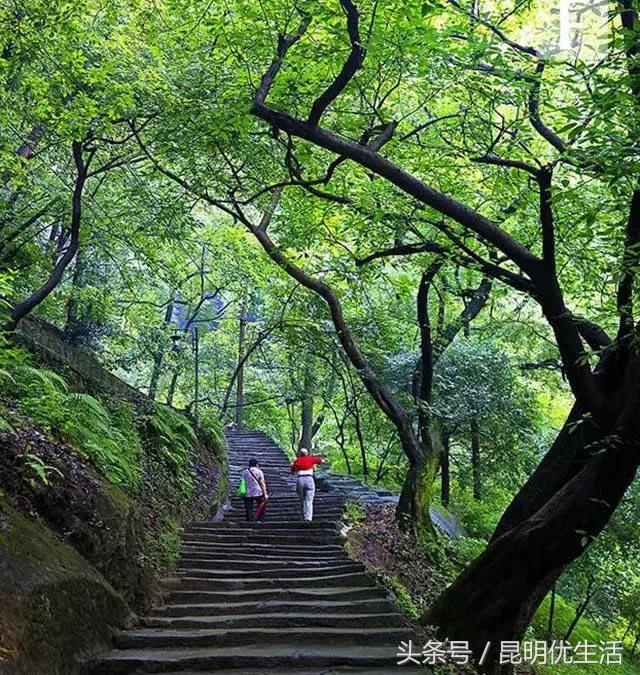 淡季昆明到重庆机票多少钱一张,昆明飞哪里机票便宜6月