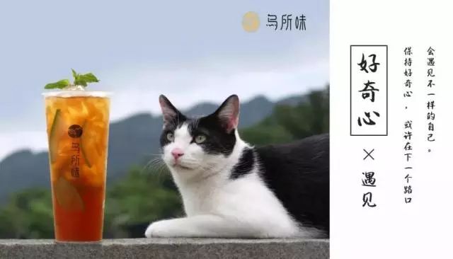 “乌所味”茶饮让宜兴人无所畏惧！1块钱得饮品，全场6折约不约？