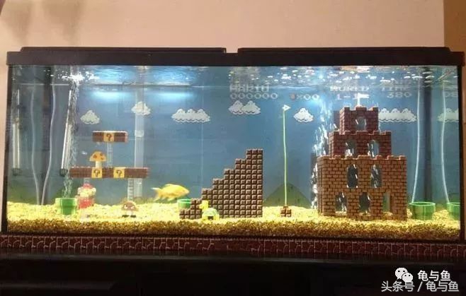 关于水族方面的科普,关于计量单位的科普视频