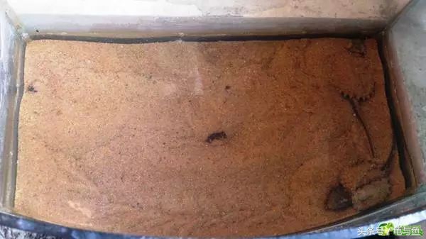 冬眠的正确疗法,冬眠的动物都怎么样越冬