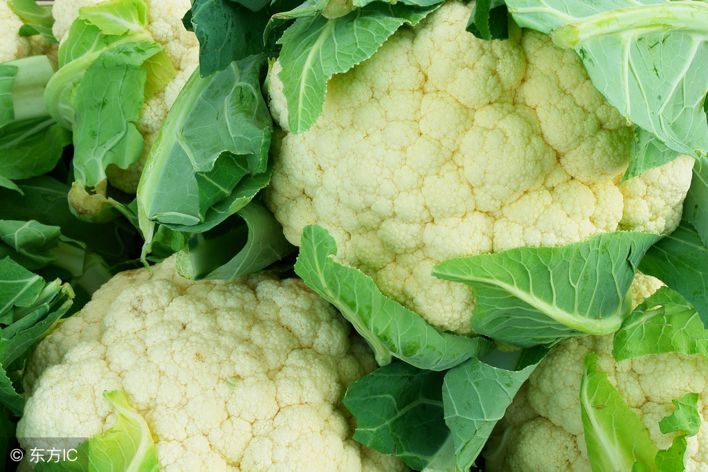 果蔬农药残留到底怎么清洗,果蔬残留农药怎么洗去啊