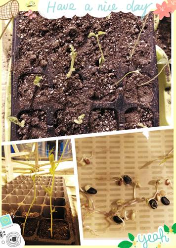 中科馆“萌豆”陪你过“六一”