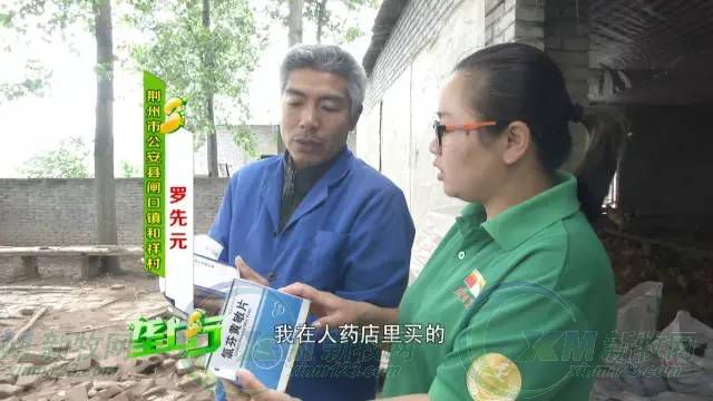 人用药给鸡退烧,45只鸡一夜丧命