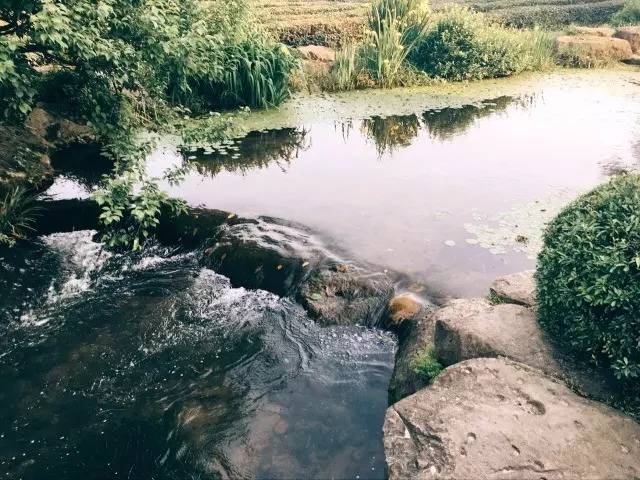 西湖边住宿民宿复式推荐,西湖边民宿四十元一天