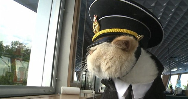 猫船长,魔性猫船长