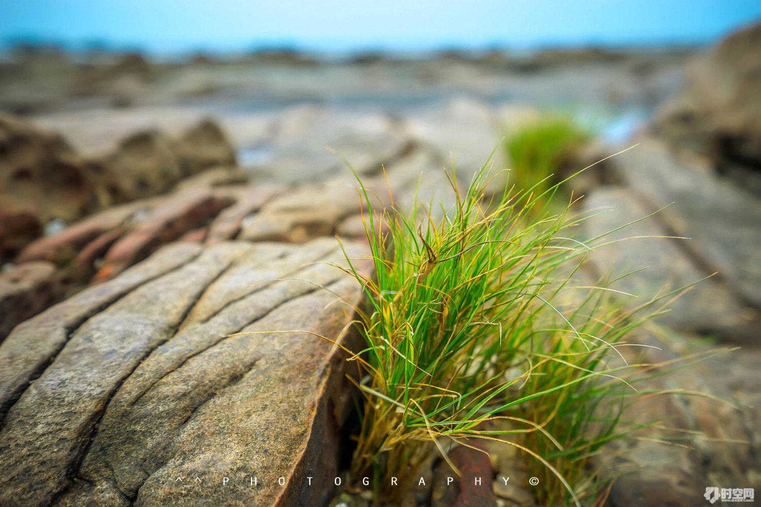 吃货美食分享海口,好吃的海鲜一日游