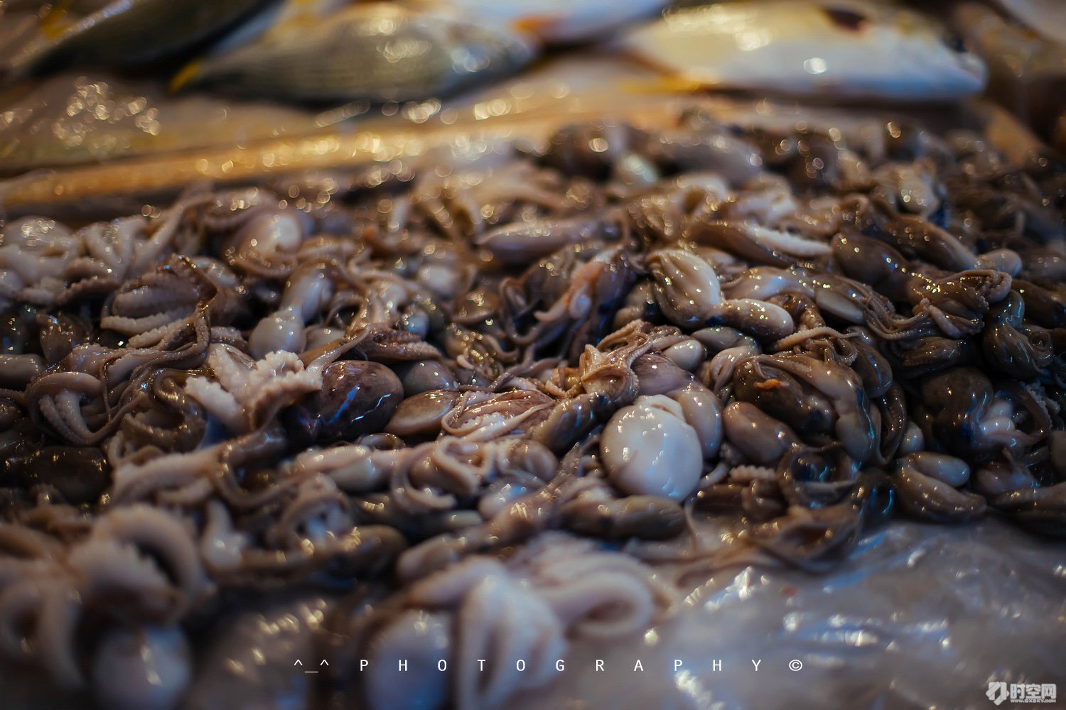 吃货美食分享海口,好吃的海鲜一日游