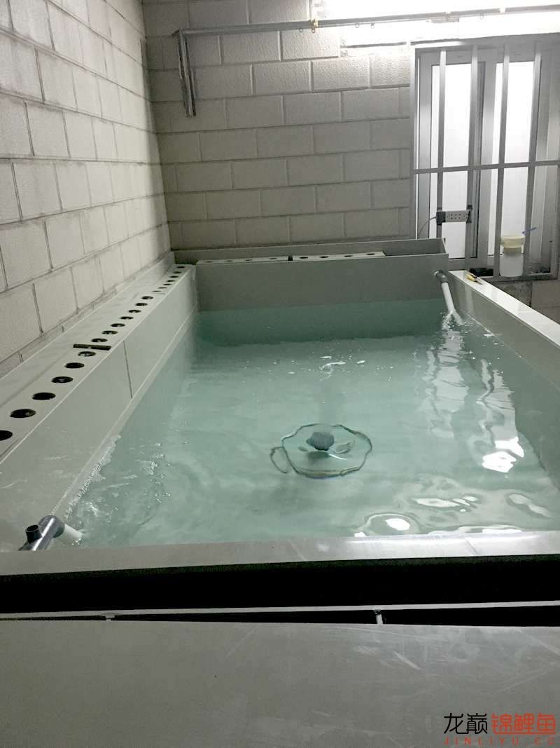 pp塑料锦鲤池,pp板材焊锦鲤池