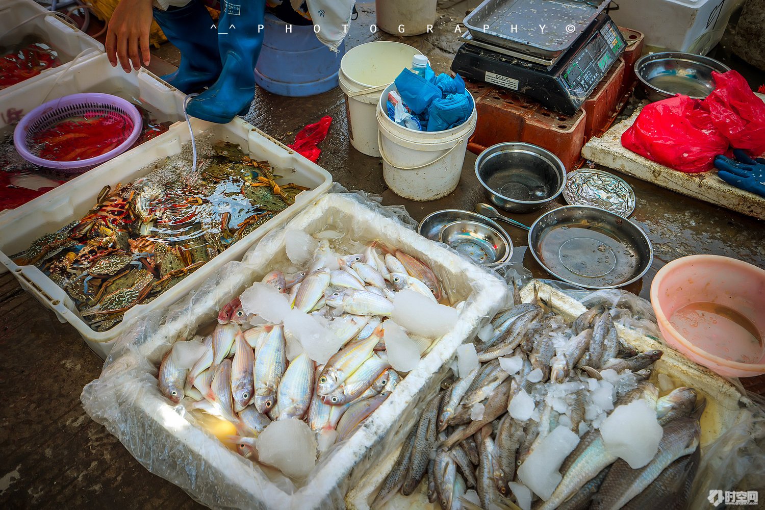 吃货美食分享海口,好吃的海鲜一日游