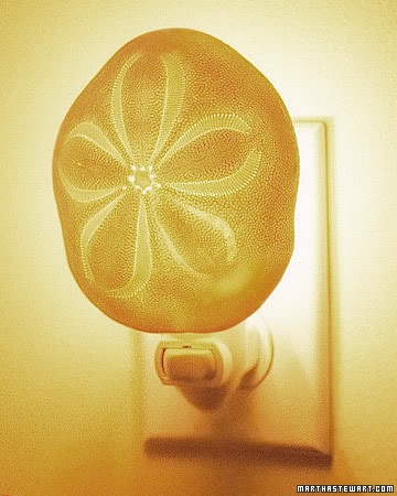 贝壳海洋工艺品摆件,贝壳工艺品叫什么