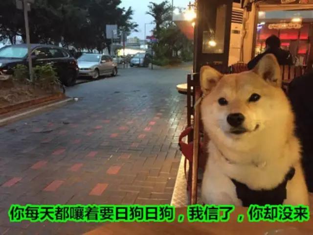 如何使用微信找外国男友,如何在微信上找到单身男朋友