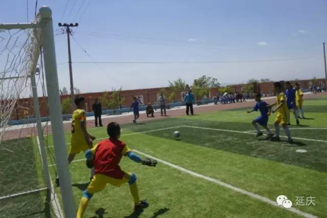 延庆区第十九届校园足球联赛,延庆区2024足球赛高中