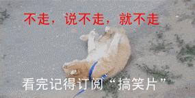 搞笑段子:那年,痴迷我们班一男生,苦苦追了半年