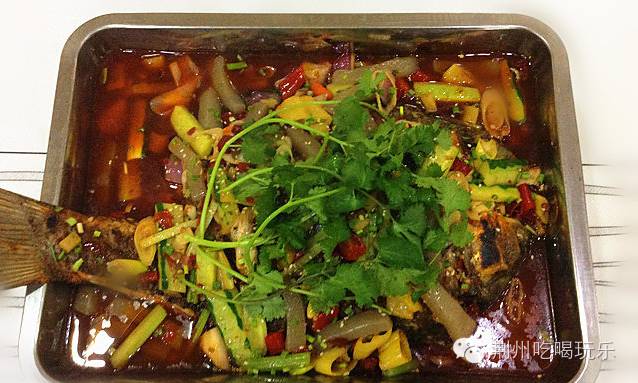 湖北荆州海洋世界美人鱼,十大绝美美人鱼