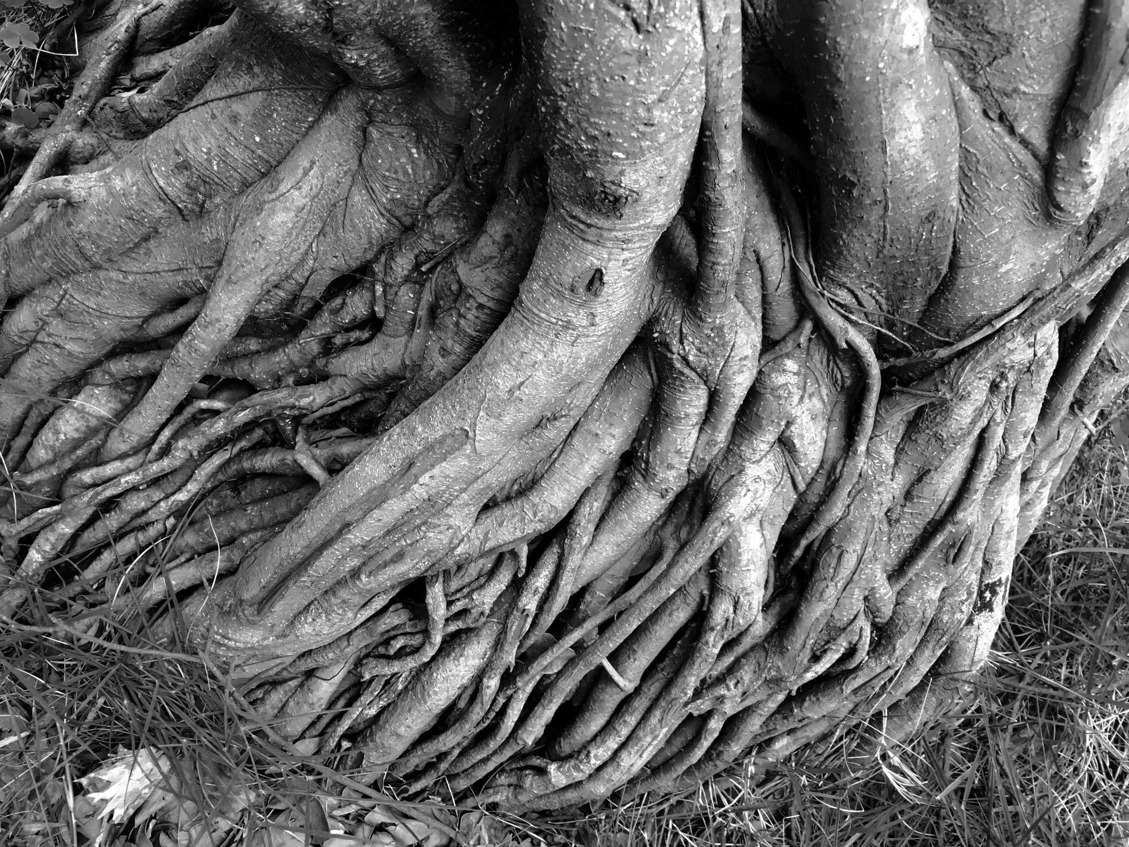 去医院检查会调出以前病历吗,去医院检查会有诊断证明吗