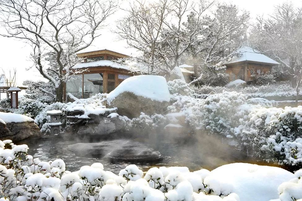 动物们嗷嗷待哺，在北京周边这个度假区里，你就是饲养员！