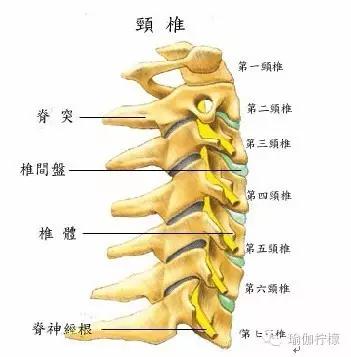 瑜伽会导致脖子疼吗,练完瑜伽后脖子疼怎么办