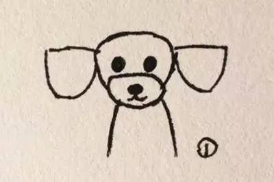 泰迪装修剪：耳朵放下来脸就变形怎么办？