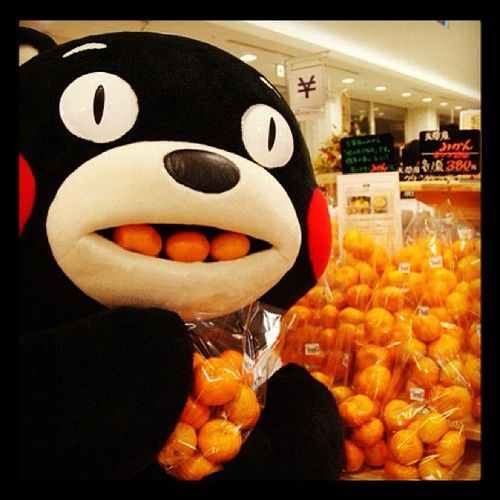 熊本熊长大后的样子,四只熊本熊图片