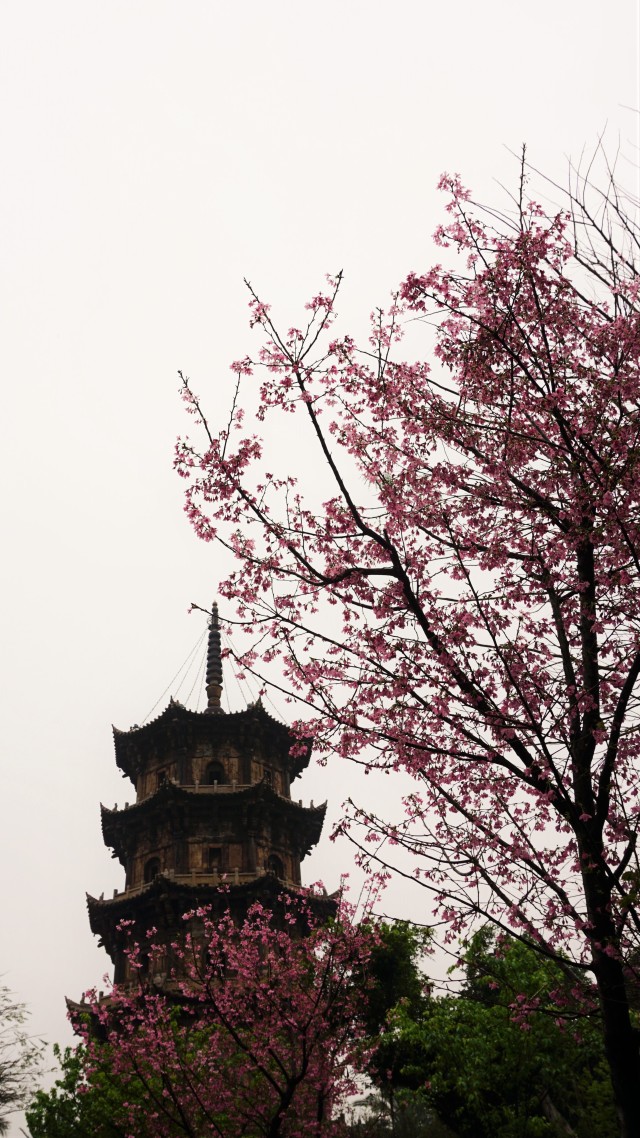 福建怎么玩最佳路线,近期福建怎么玩