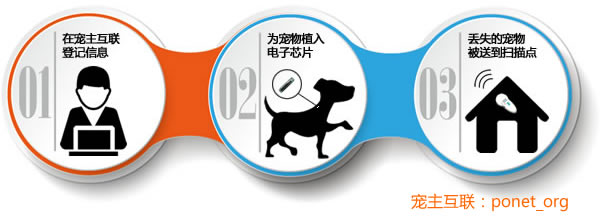 PO!闻主人臭脚狗狗转头作呕外国情侣办婚礼请1000只喵星