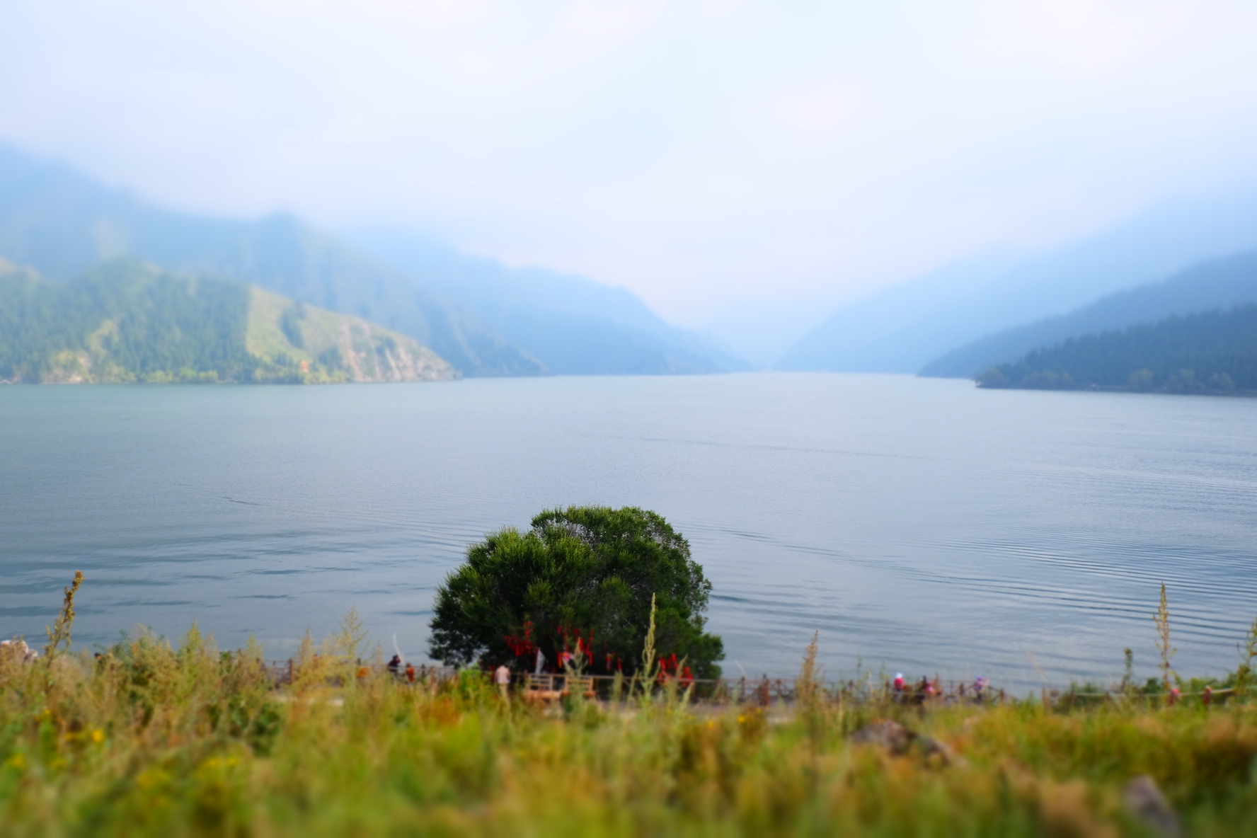 新疆伊犁14天旅行攻略,8天伊犁之旅