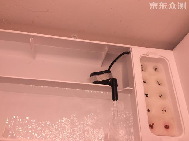 绿色环保农家小菜园,绿色无公害的自家小菜园