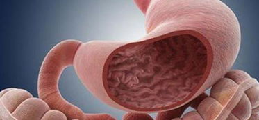 5岁孩子吐出深褐色絮状物,1岁半孩子吐透明液体