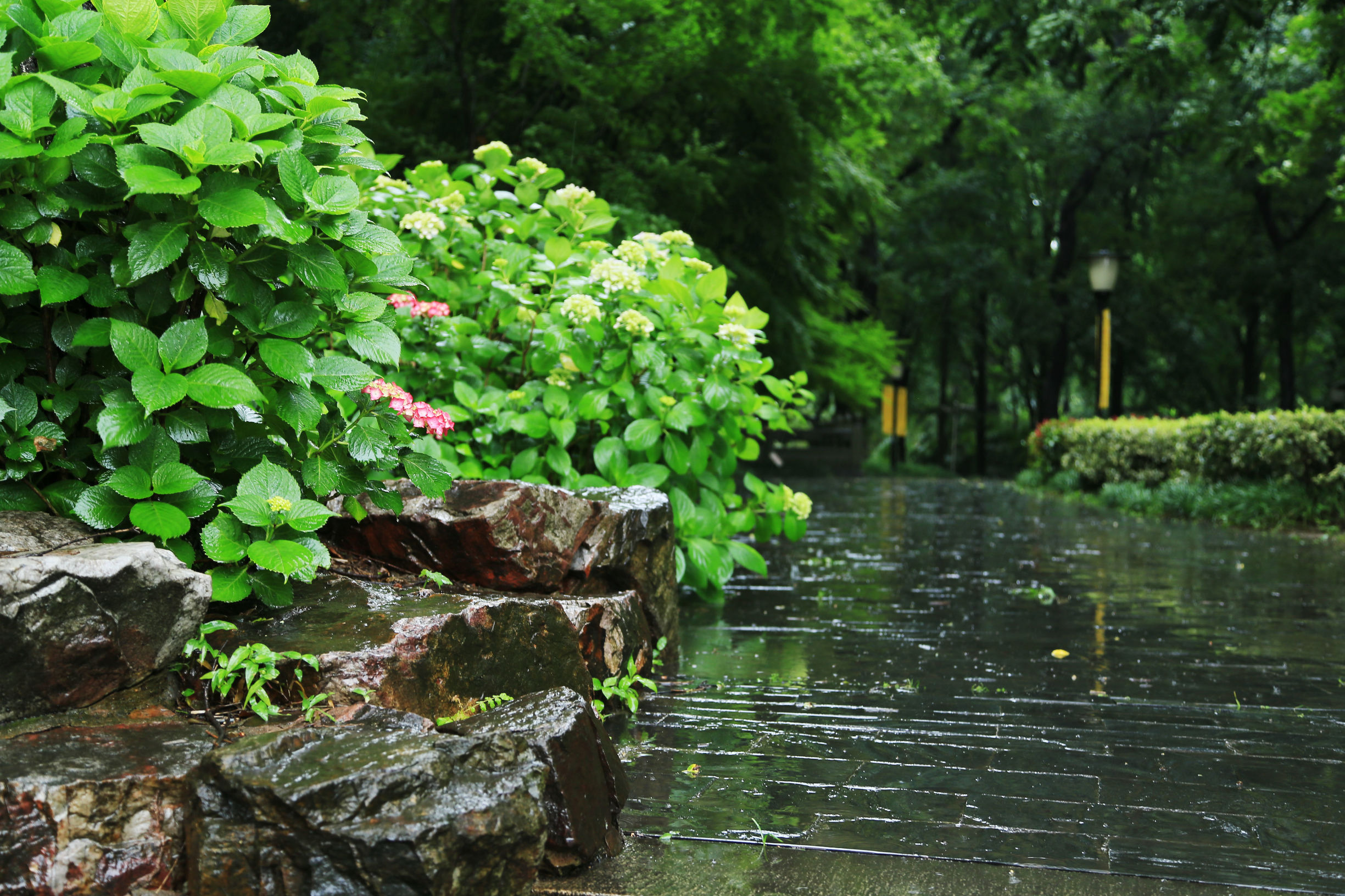 苏州天宁寺,天宁寺是全亚洲最大的寺庙吗