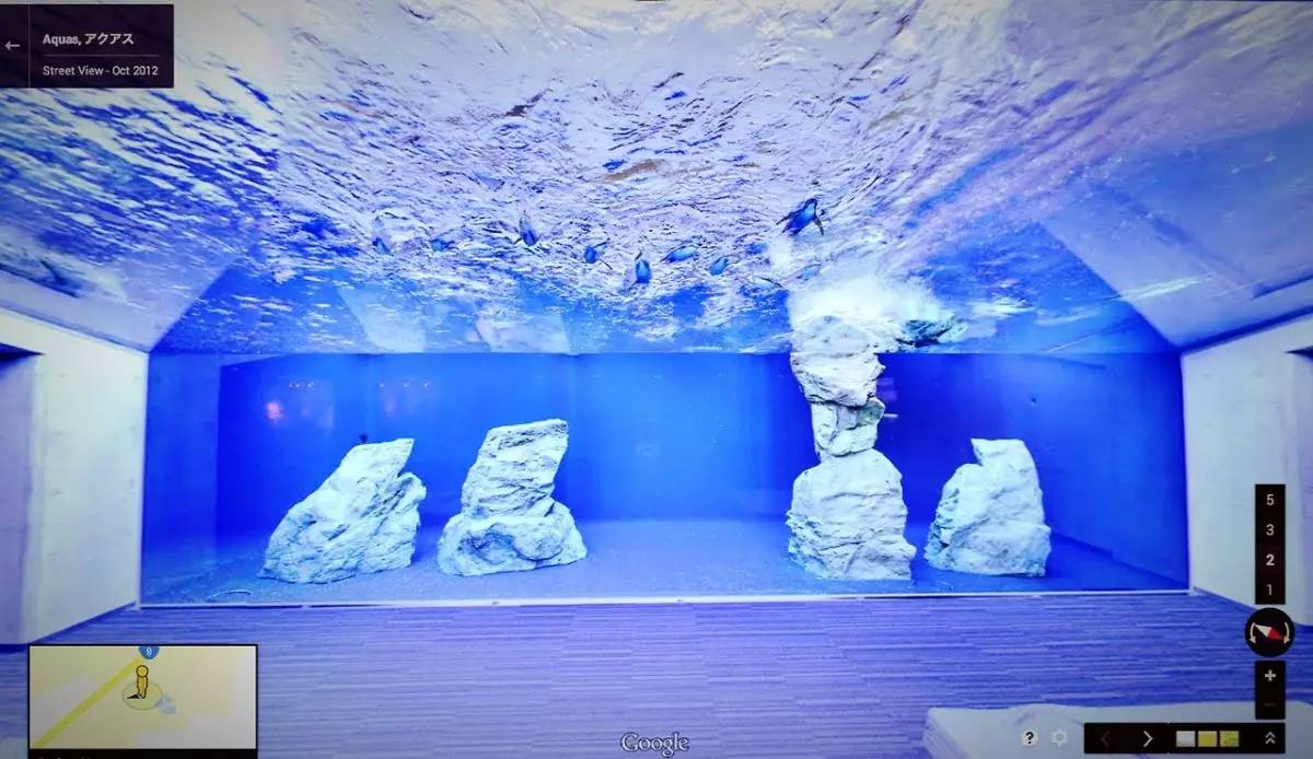 google街景在哪里看,google街景怎么看