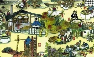 舌尖上的安徽老字号,望江老字号