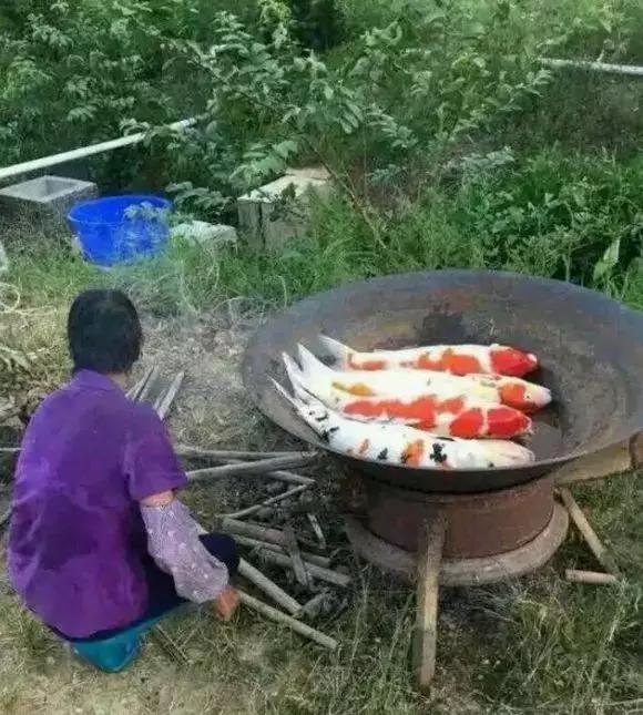 高考作文表情包和文体,高考万能作文图片